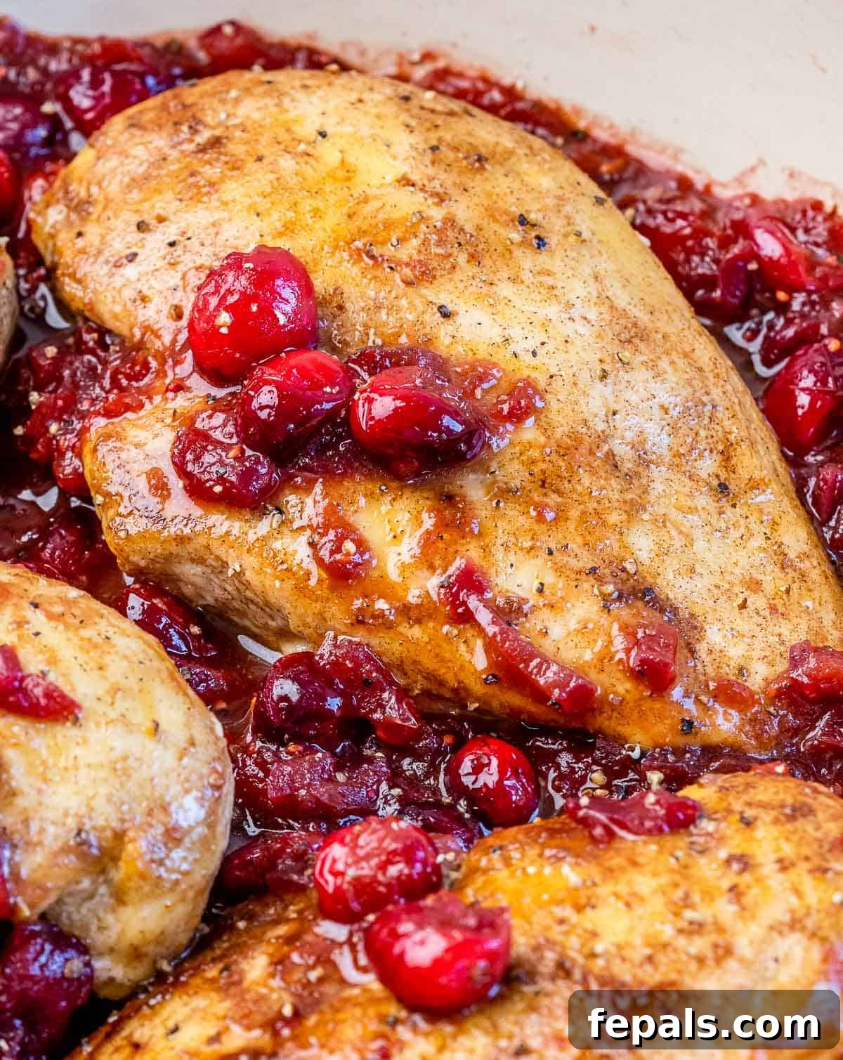 Close-up of tender chicken breast cooked in a rich cranberry sauce, ready to be served.