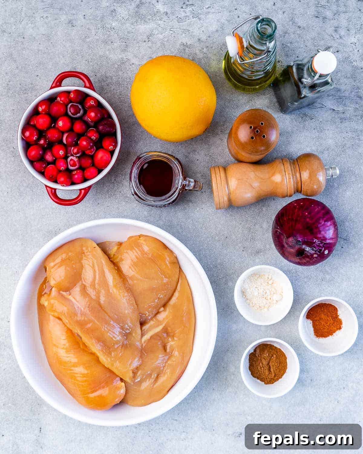 Raw chicken breast, fresh cranberries, a whole orange, various spices in small bowls, and a red onion arranged on a rustic surface.