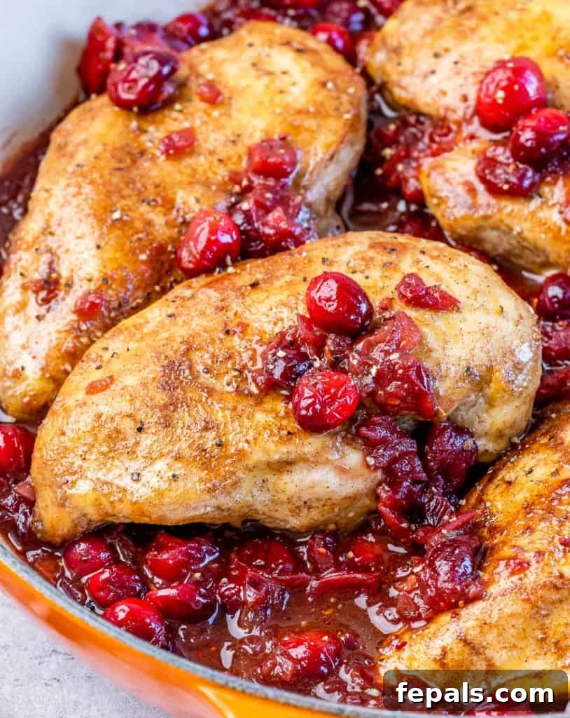 Chicken breasts perfectly cooked in a pan with rich cranberry sauce, ready for the oven.