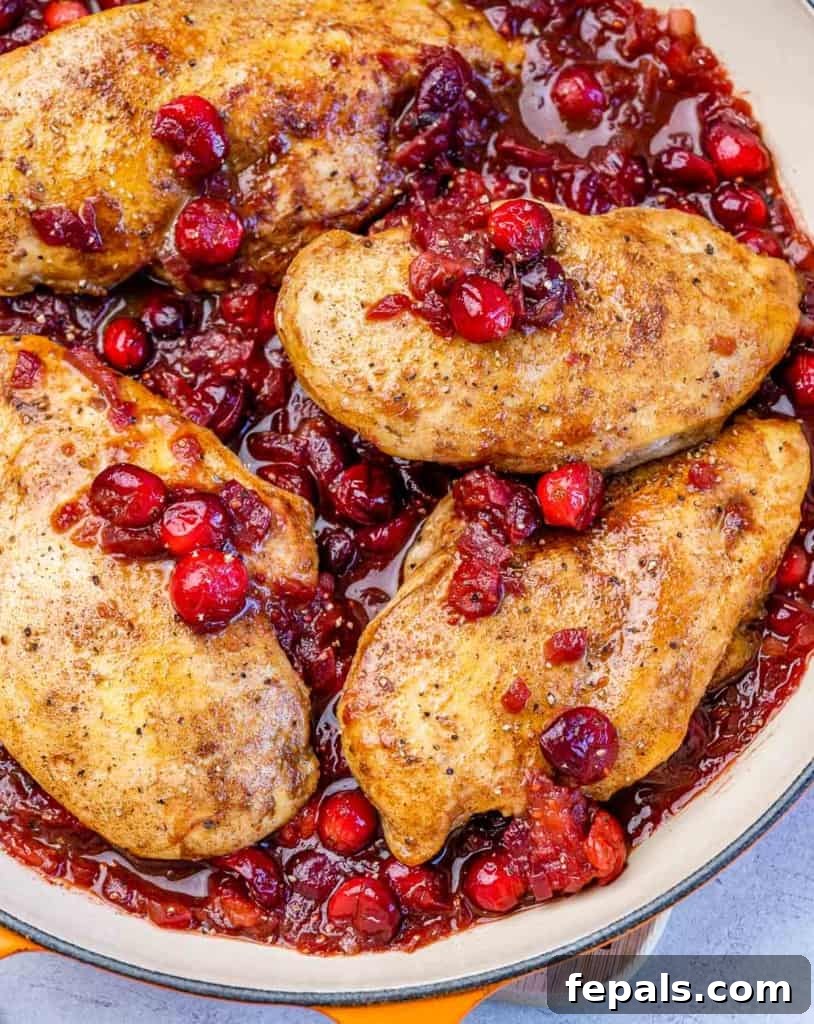 Top view of baked chicken breast in cranberry sauce in a pan, ready to be portioned.