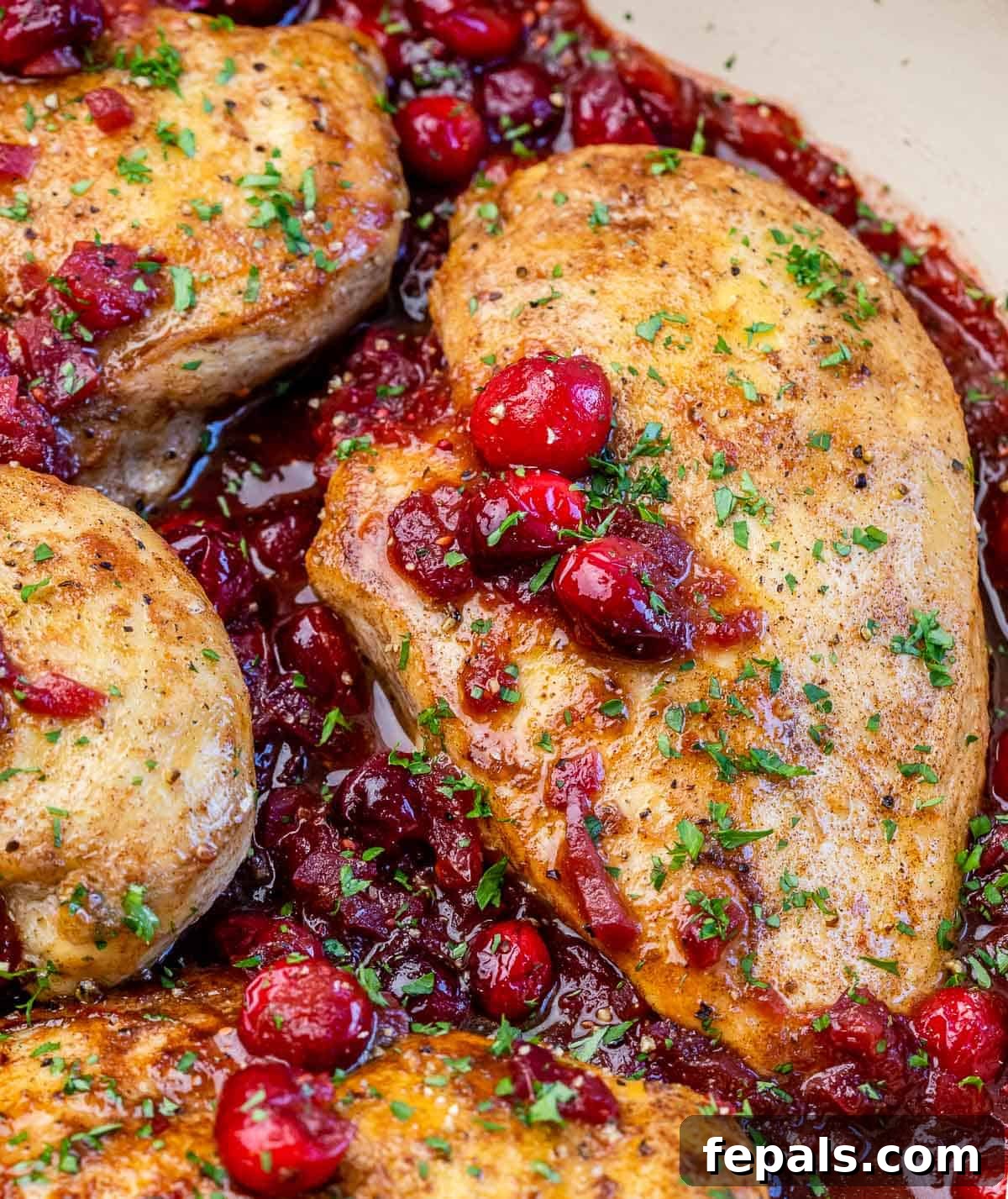 Cranberry roasted chicken topped with vibrant cranberries and fresh parsley, in a rustic setting.