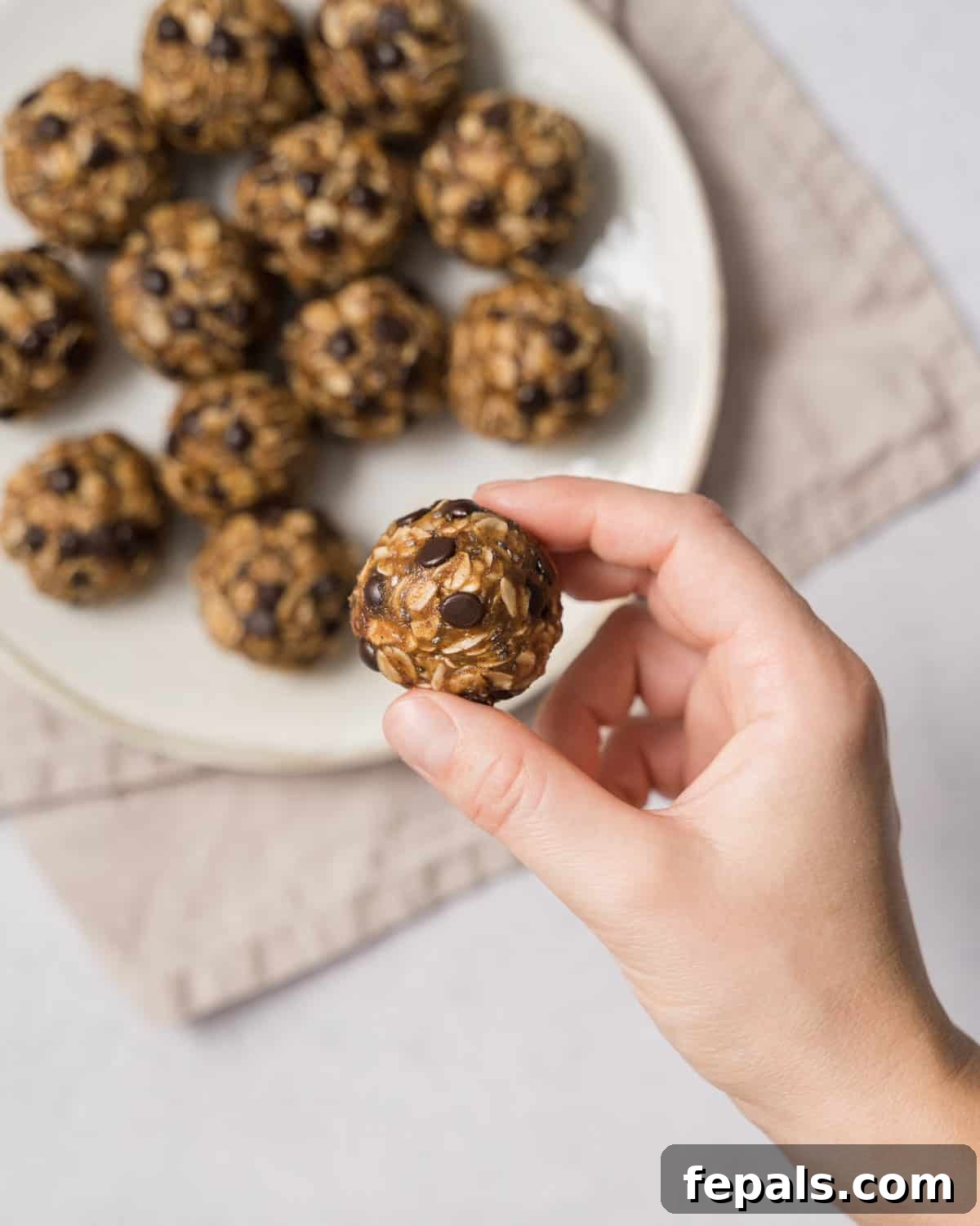 Spiced Pumpkin Power Morsels 3 A hand reaching for a delicious pumpkin pie energy bite, showcasing its rich texture with visible oats and chocolate chips.