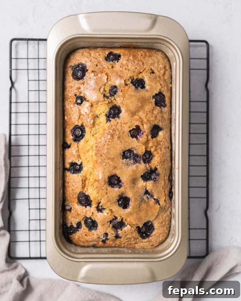 Zesty Blueberry Lemon Loaf 15 baked blueberry bread in pan over a wire wrack