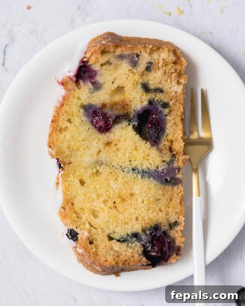 Zesty Blueberry Lemon Loaf 20 a slice of blueberry bread on a plate with a fork on the right of it
