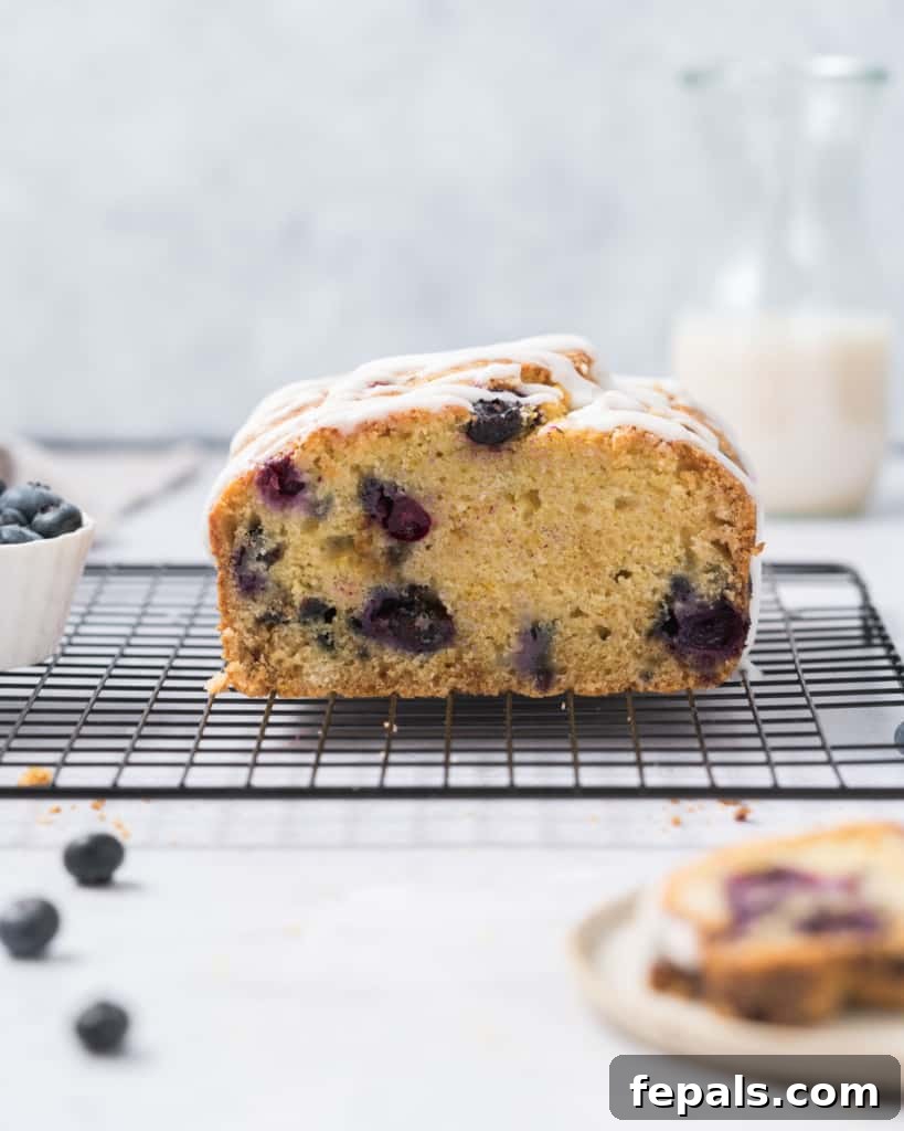 Zesty Blueberry Lemon Loaf 21 side shot of a sliced blueberry bread on a wire wrack