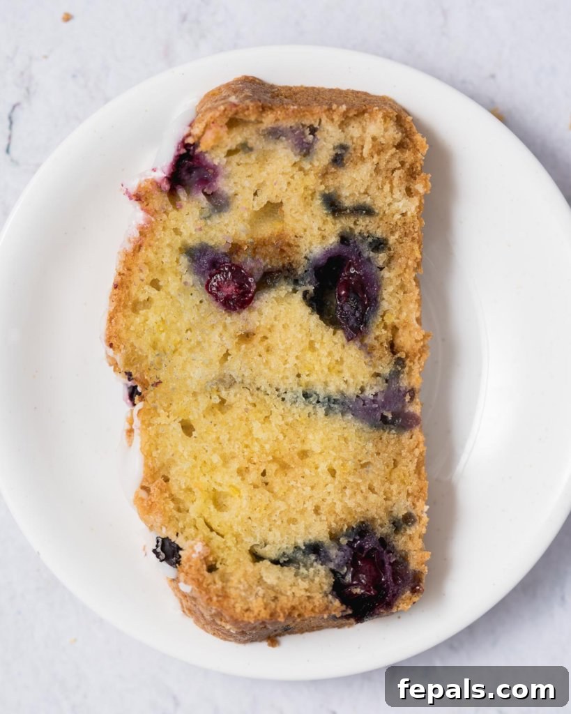 Zesty Blueberry Lemon Loaf 22 a top view of a slice of blueberry bread on a plate