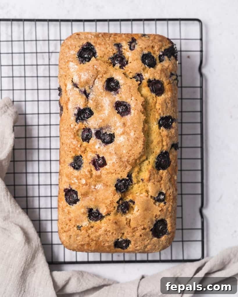 Zesty Blueberry Lemon Loaf 23 top view of blueberry bread on a wire wrack