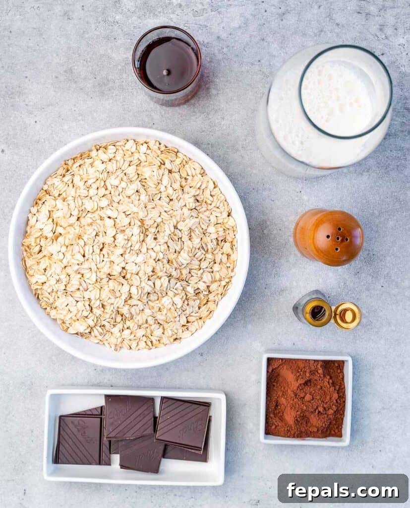 Decadent Cocoa Oat Delight 4 ingredients to make hot cocoa chocolate oatmeal breakfast bowl laid out
