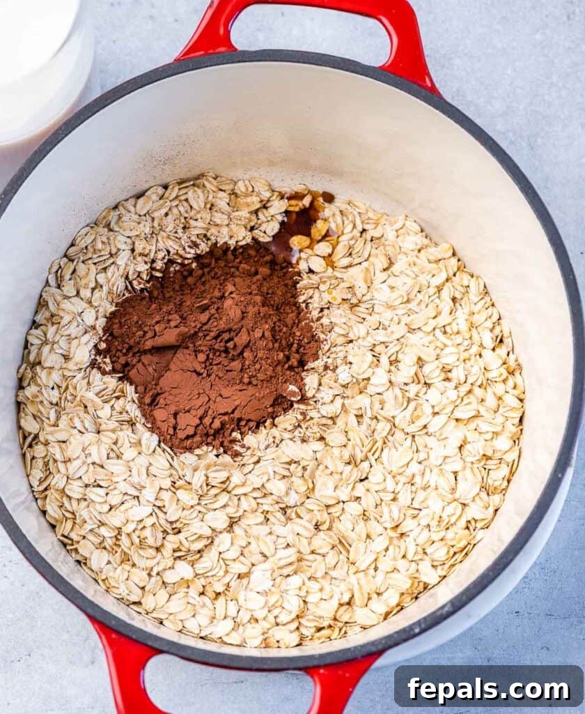 Decadent Cocoa Oat Delight 5 a red pot with 2 ingredients. rolled oats and cocoa powder