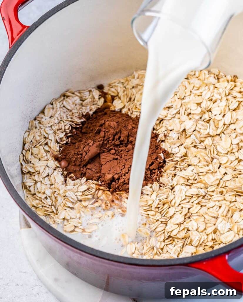 Decadent Cocoa Oat Delight 6 milk being powder over rolled oats and cocoa powder