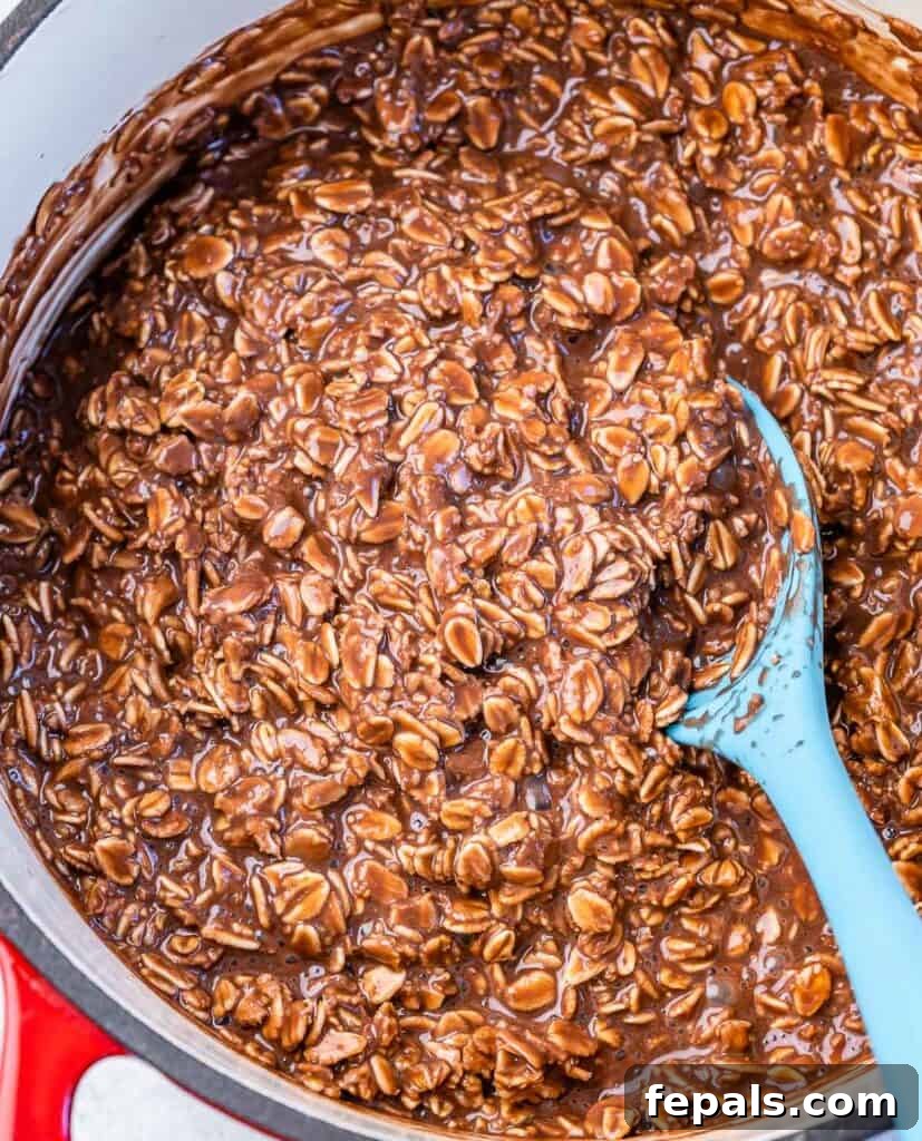 Decadent Cocoa Oat Delight 7 cooked chocolate oatmeal in a pot with light blue rubber spoon in the cooked oatmeal