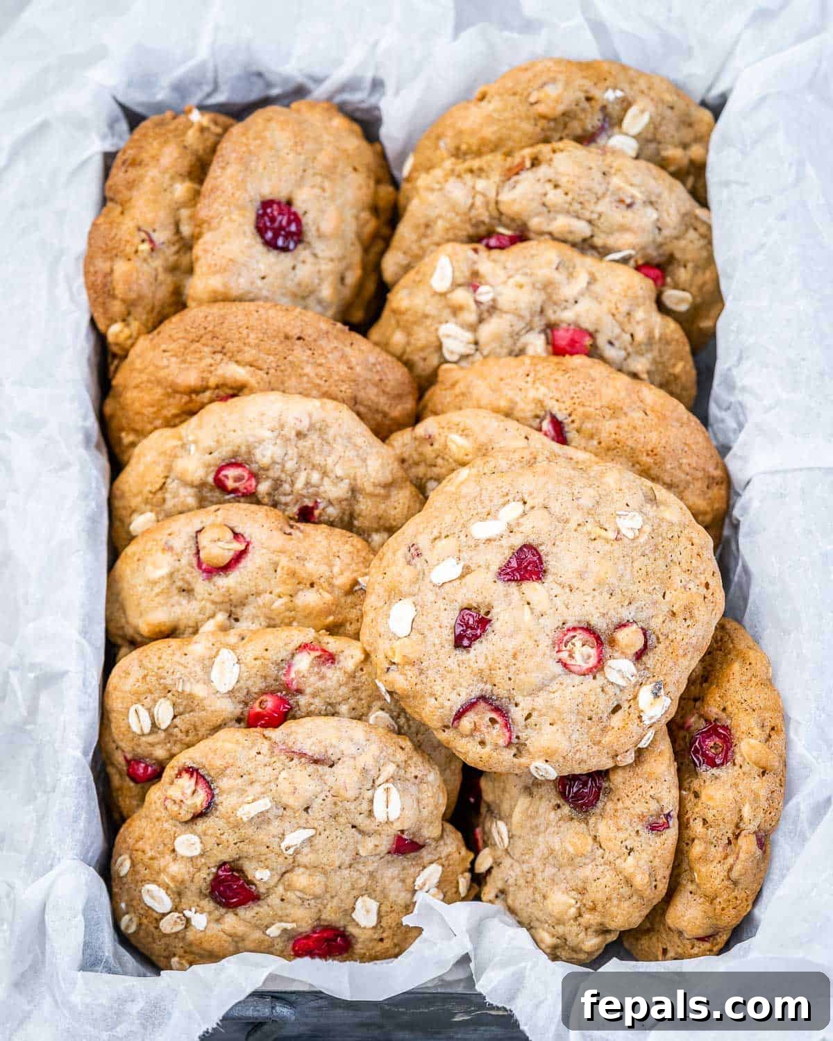 Cranberry oatmeal cookies packaged in a container lined with parchment.