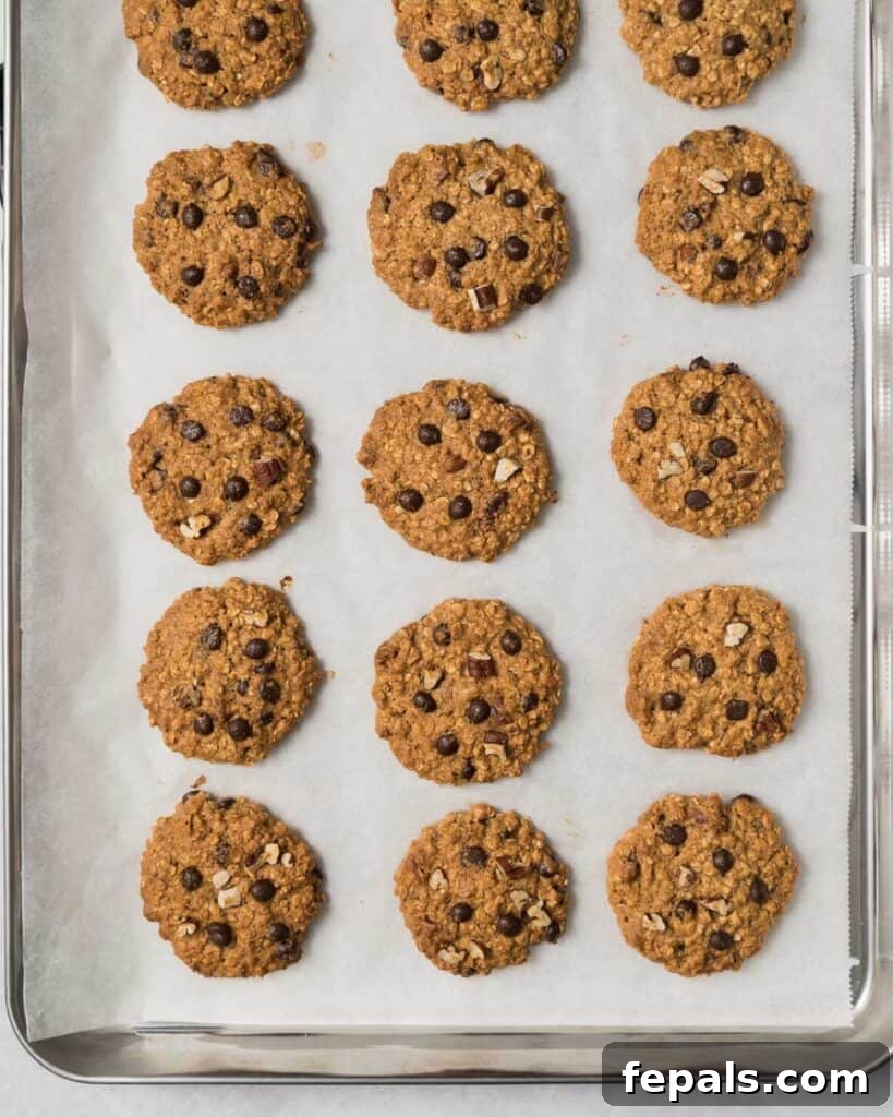 Wholesome Western Wonders 16 Baked Healthy Cowboy Cookies on a pan, fresh out of the oven.