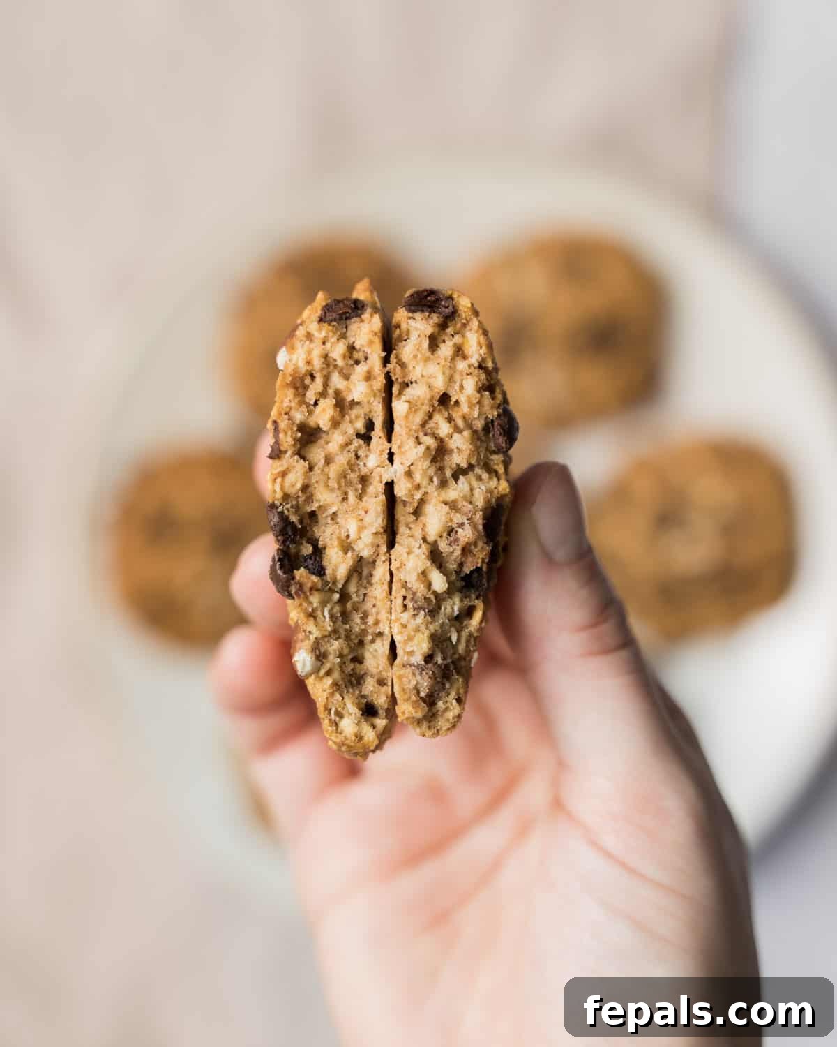 Wholesome Western Wonders 3 Hand holding a Healthy Cowboy Cookie that has been cut in half, showing the oats, chocolate, and pecans.