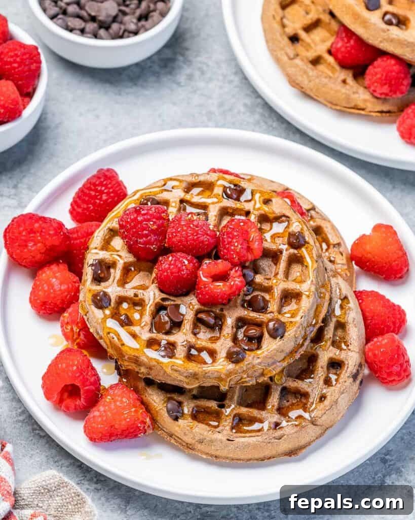 Top view of a round white plate that has chocolate waffles topped with fresh raspberries and mini chocolate chips.