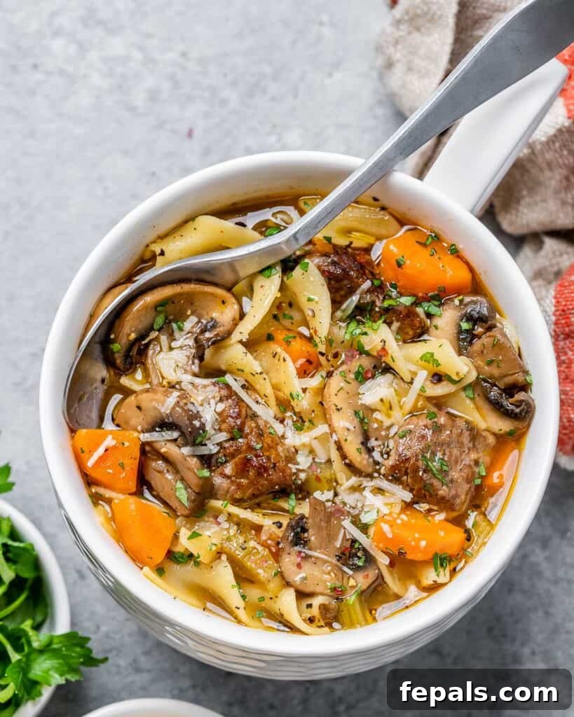 Hearty Beef Noodle Comfort 10 top view of a bowl of beef and noodle soup with mushrooms and carrots with spoon in the bowl