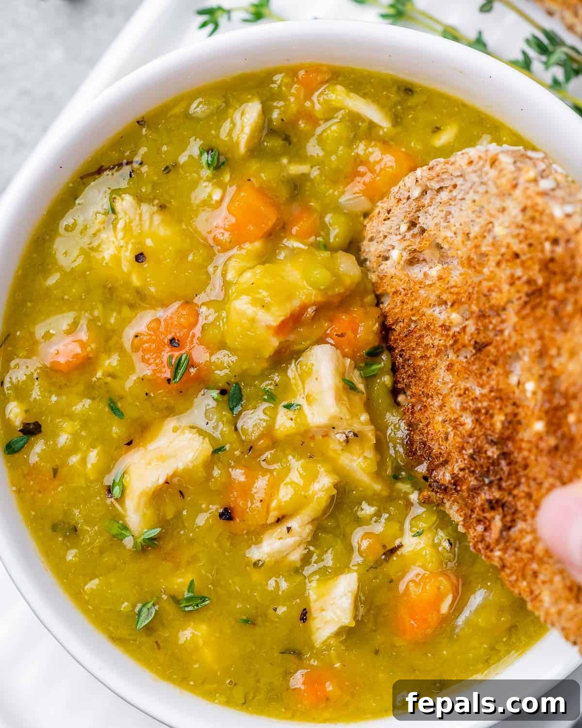 A hand dipping a piece of crusty bread or toast into a bowl of creamy slow cooker split pea soup with chicken.
