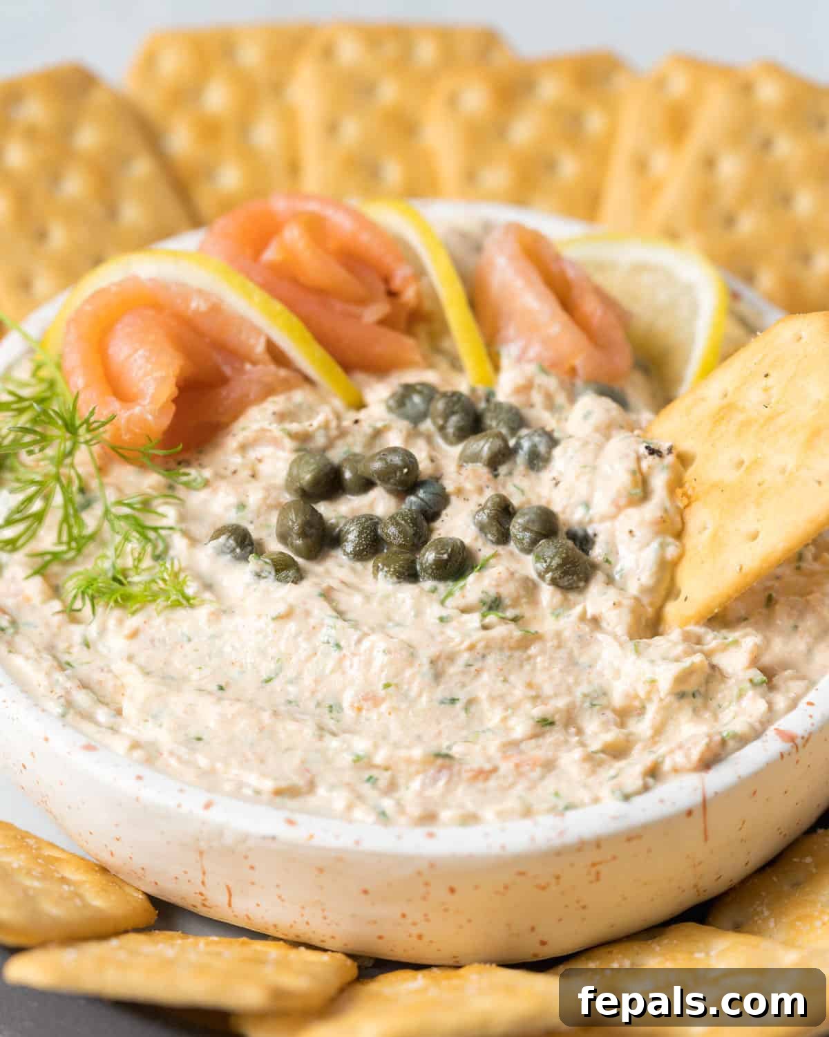 Cracker dipping into salmon dip.