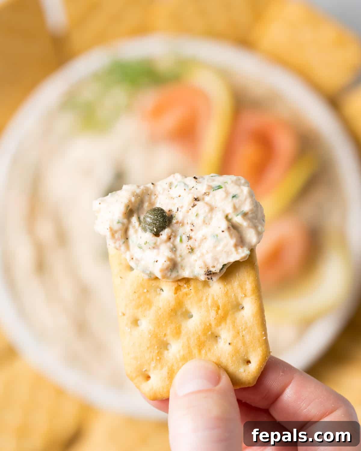 hand holding cracker with smoked salmon dip