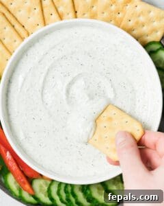 Protein-Packed Ranch Dip 15 Dipping cracker into cottage cheese ranch dip.