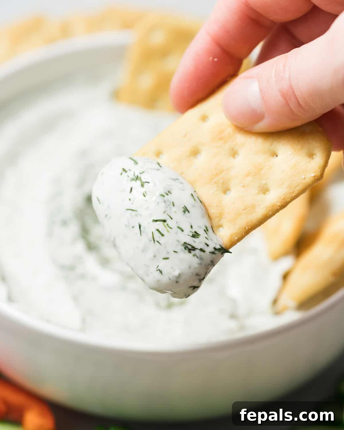 Protein-Packed Ranch Dip 3 Hand holding a cracker dipped into cottage cheese dip.