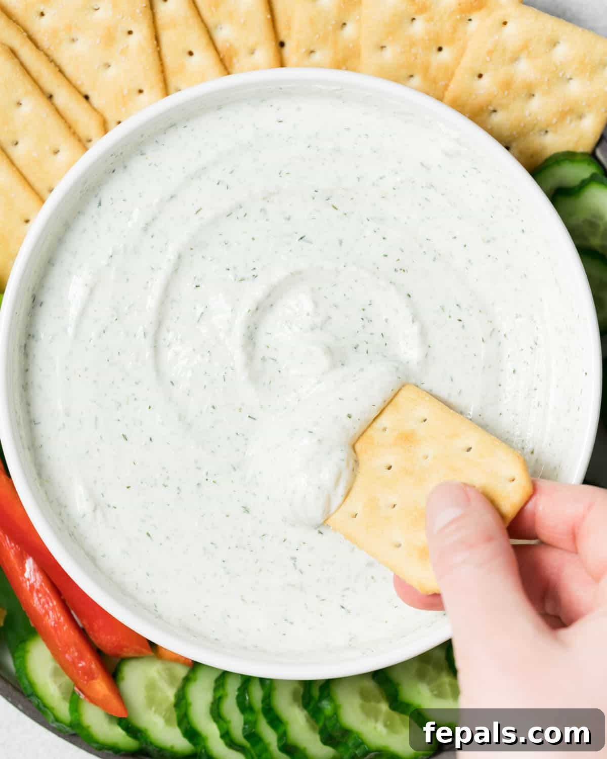 Protein-Packed Ranch Dip 9 Dipping cracker into cottage cheese ranch dip.