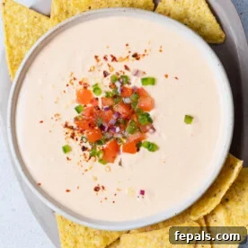 top view of queso dip made with cottage cheese in a bowl topped with pico de galo and surrounded by tortilla chips
