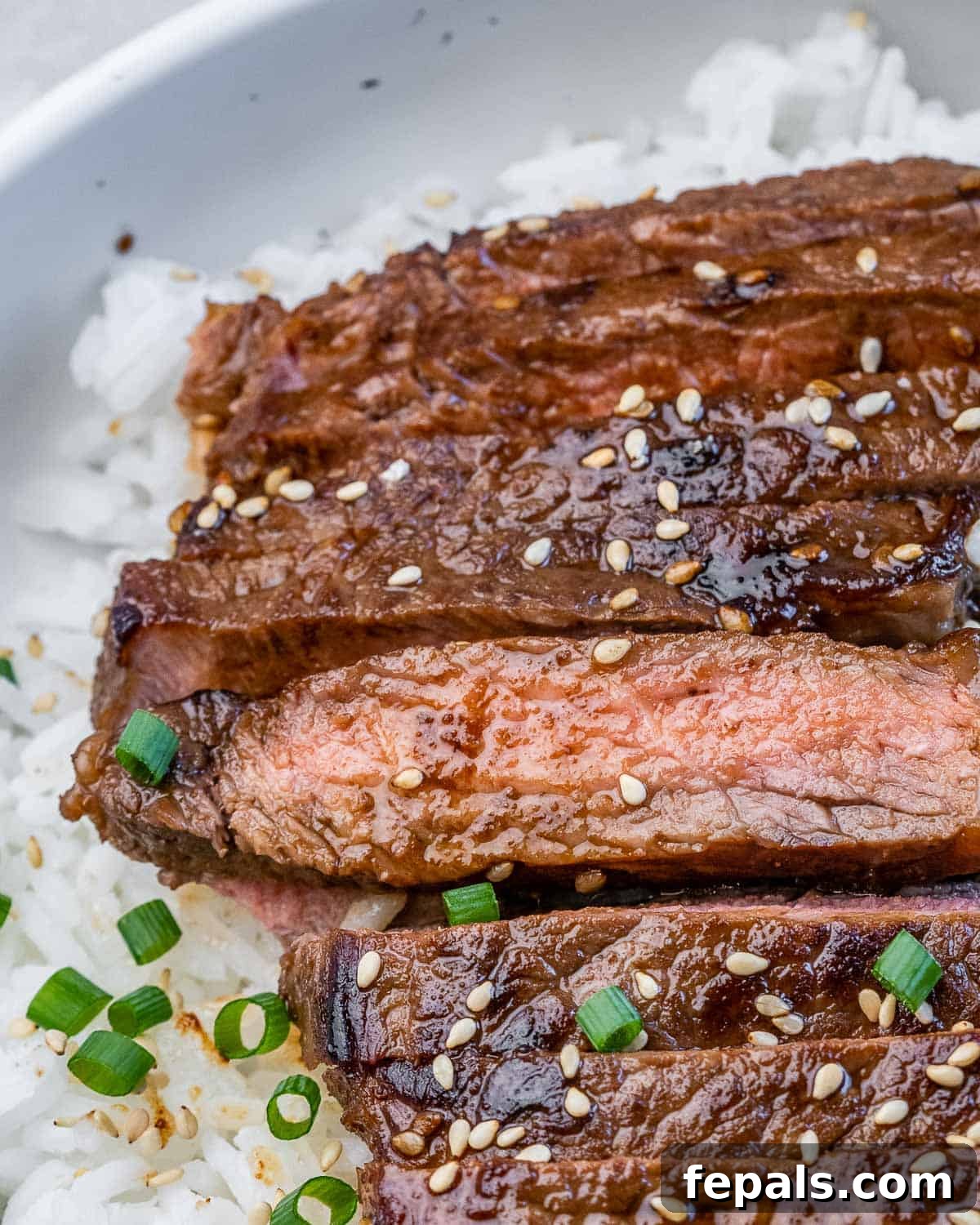 Sweet and Savory Teriyaki Steak 3 Sliced teriyaki steak topped with sliced green onion.