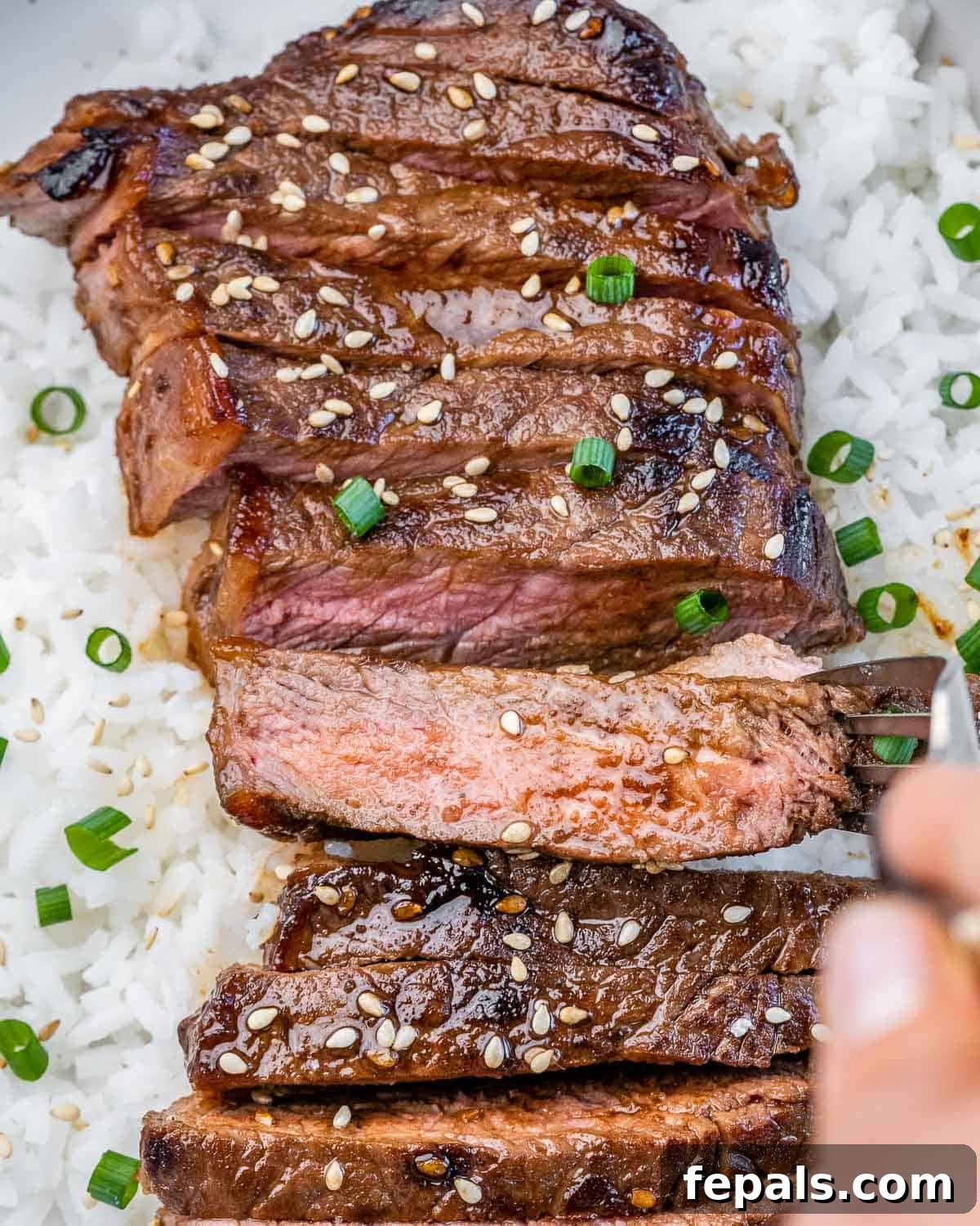 Sweet and Savory Teriyaki Steak 10 Sliced teriyaki steak served over rice.