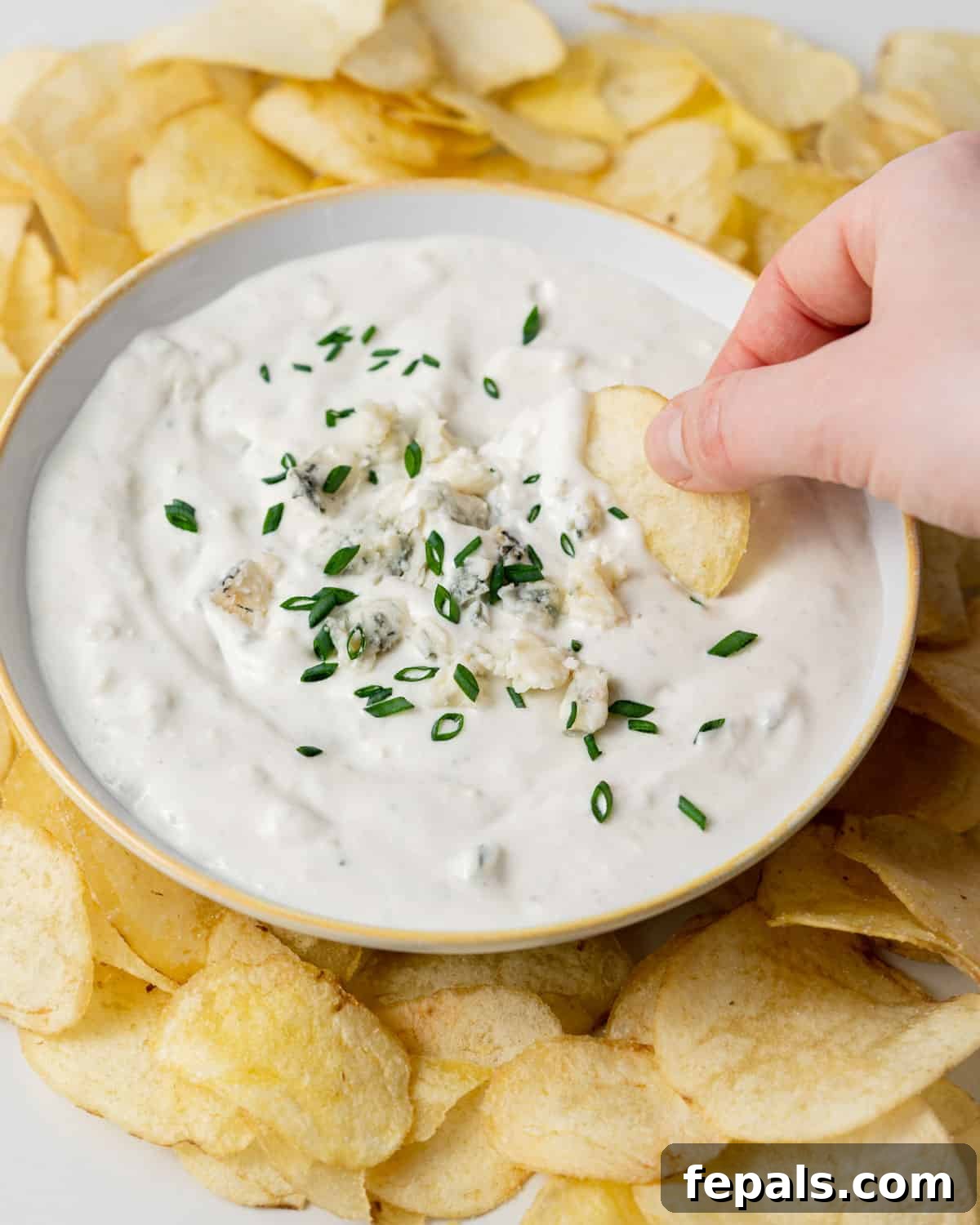 Decadent Blue Cheese Dip 7 Hand dipping a chip in blue cheese dip.