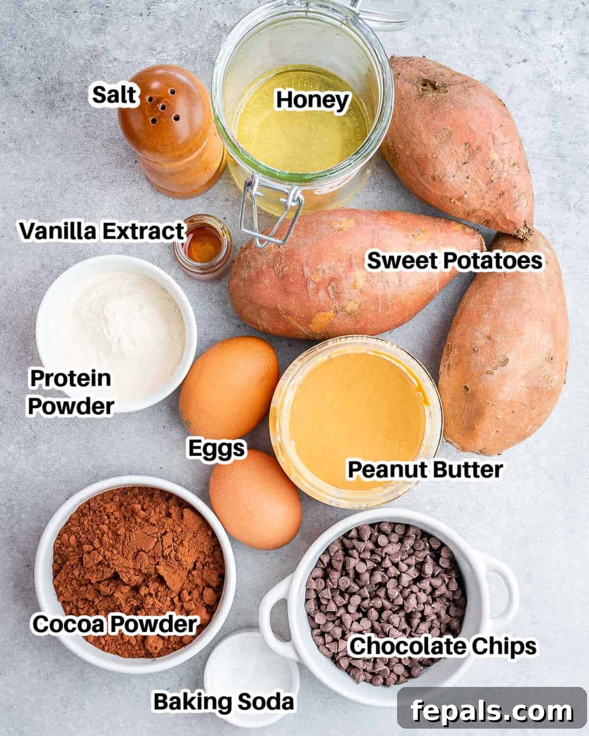 An array of ingredients for sweet potato brownies, neatly laid out and labeled on a white background, including sweet potatoes, peanut butter, eggs, honey, vanilla, cocoa powder, protein powder, baking soda, salt, and chocolate chips.