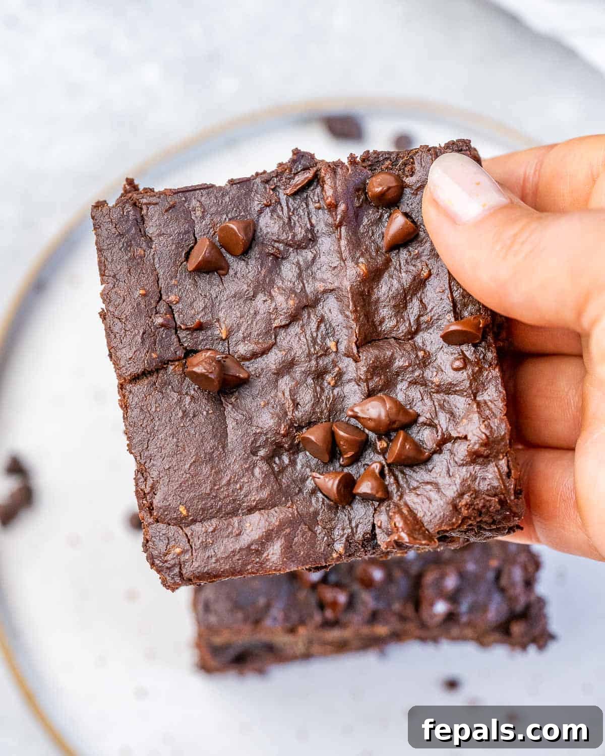 A hand gently holding a single square sweet potato brownie, showcasing its rich texture and chocolate chips.
