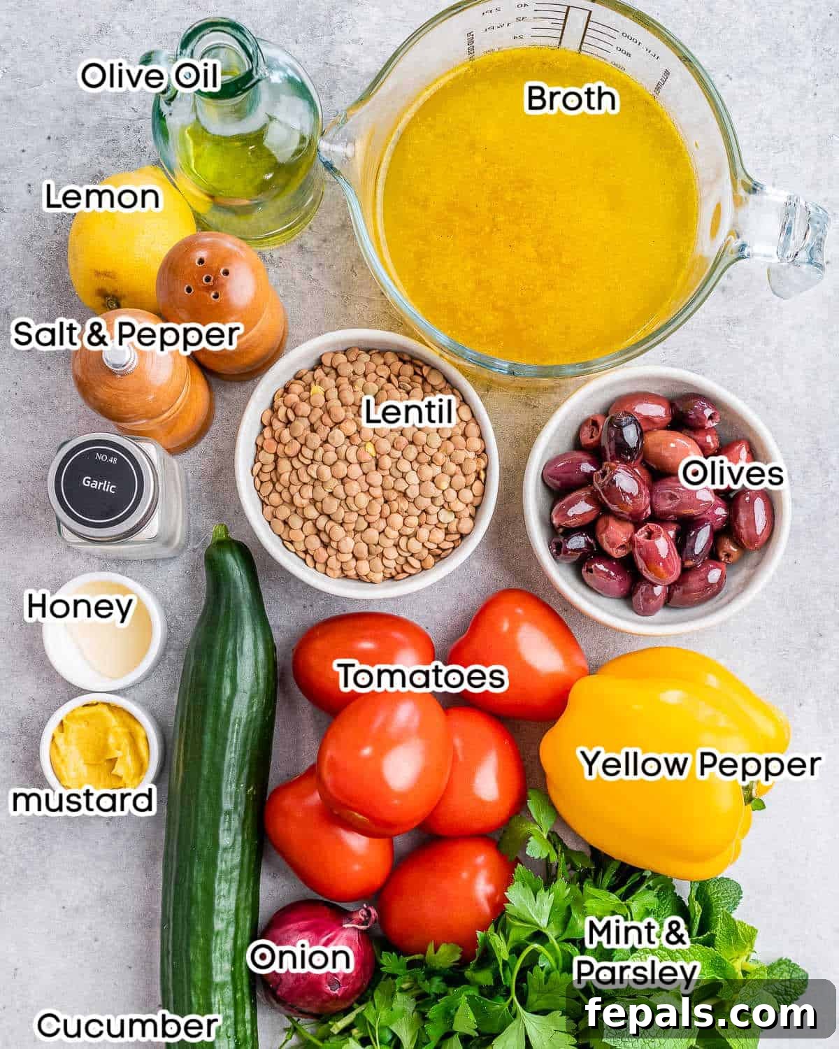 A beautiful flat lay of all the fresh ingredients needed to prepare the lentil salad: lentils, various chopped vegetables, herbs, and dressing components.