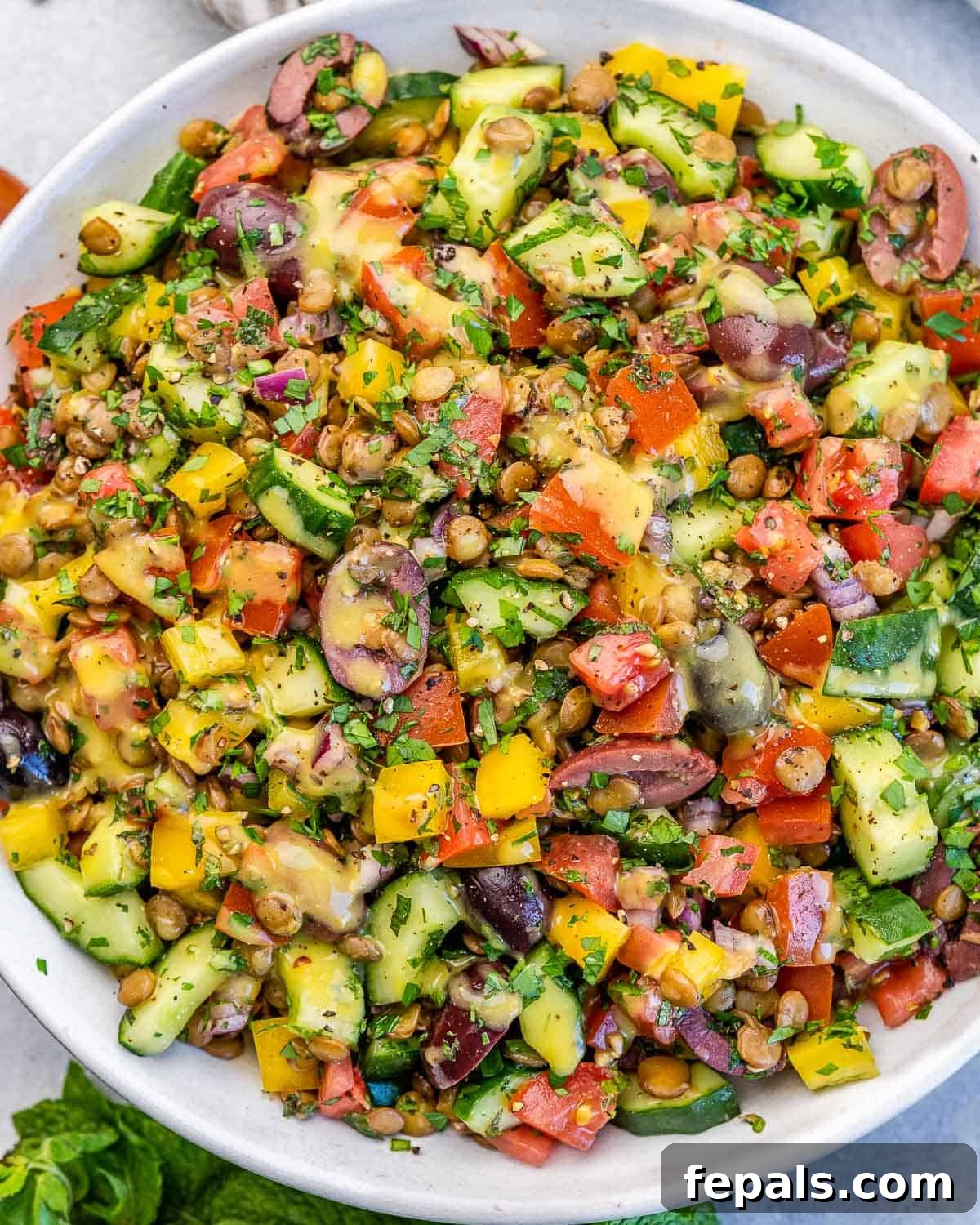 A generous serving of lentil and veggie salad, beautifully presented in a white round dish, highlighting its vibrant colors and fresh appeal.