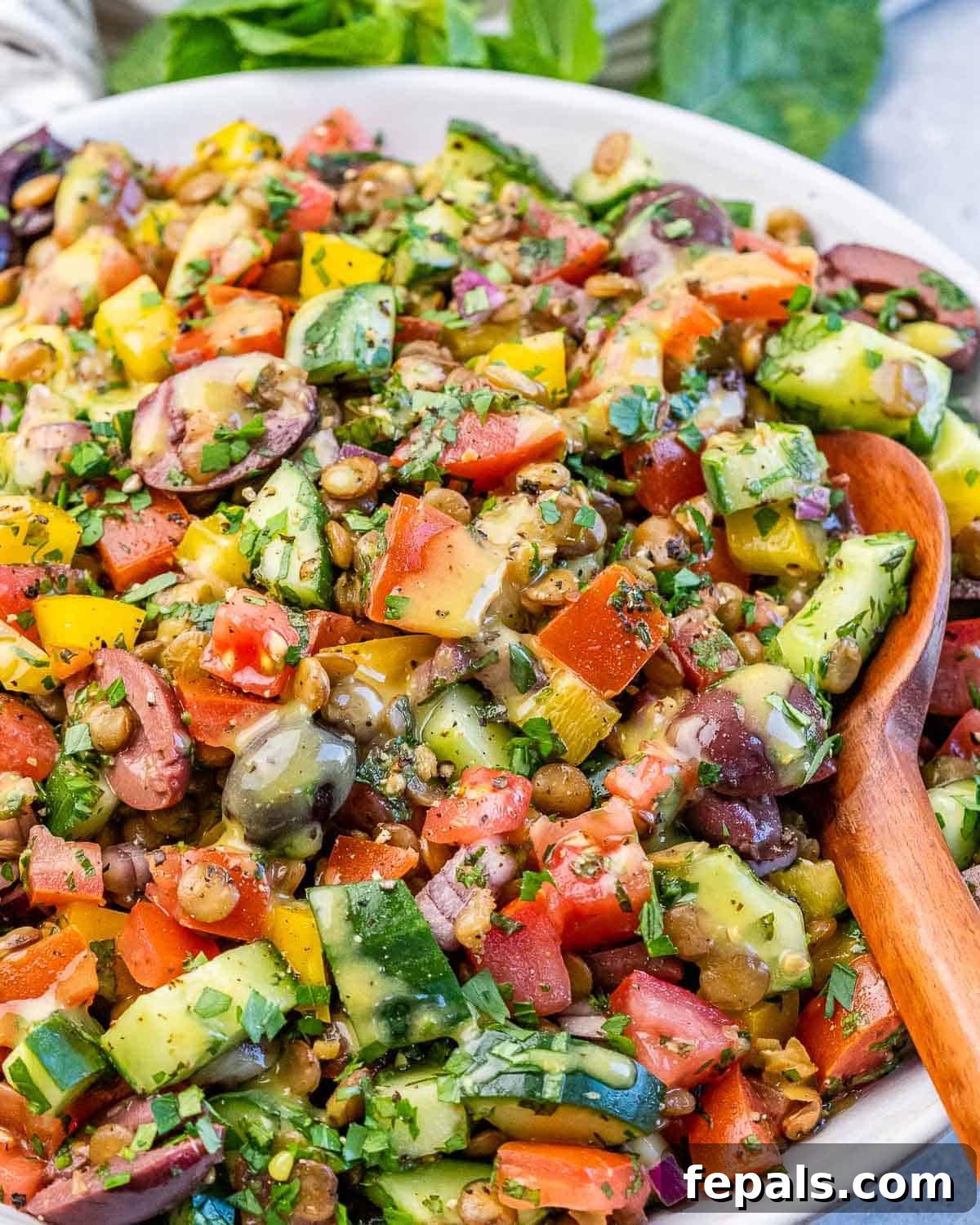 A wooden spoon gently stirring a vibrant lentil salad, showing crisp cucumbers, bright tomatoes, and yellow bell pepper mixed with earthy lentils.