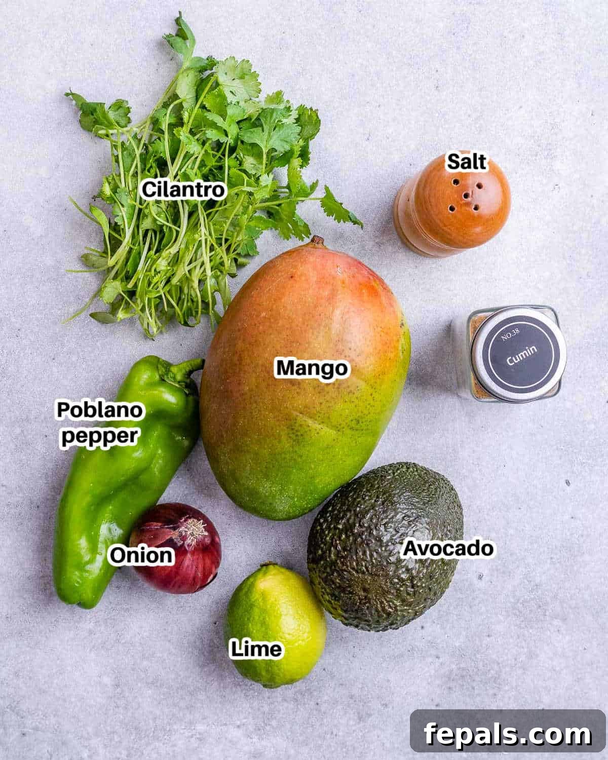A vibrant display of fresh ingredients needed to make mango salsa, including mangoes, avocados, and herbs.