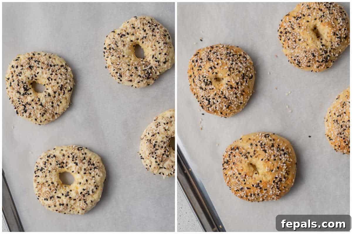 Protein Packed Cottage Cheese Bagels Yeast Free 7 Process shot showing raw bagels placed on a baking sheet, ready for the oven.