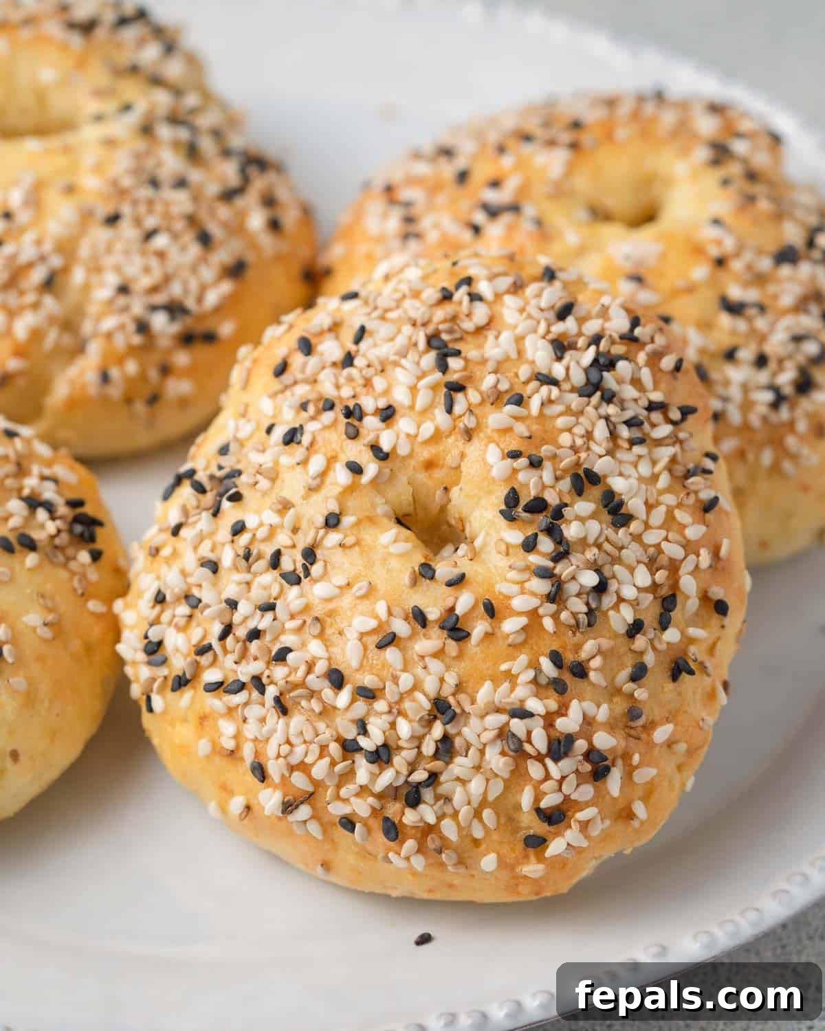 Protein Packed Cottage Cheese Bagels Yeast Free 8 Freshly baked cottage cheese bagels displayed on a white plate, ready to be enjoyed.
