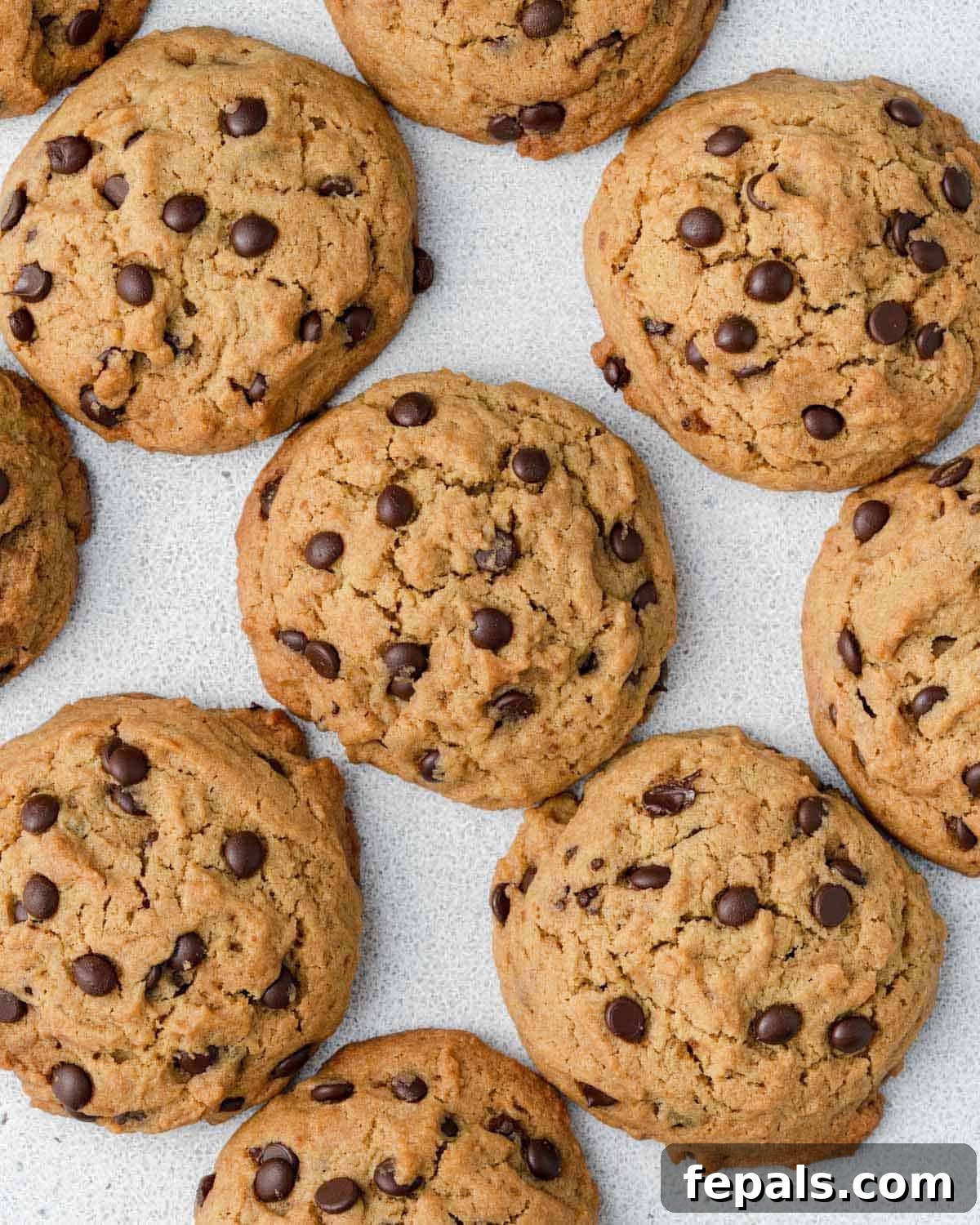 Liquid Gold Chocolate Chip Cookies 2 Olive oil chocolate chip cookies.