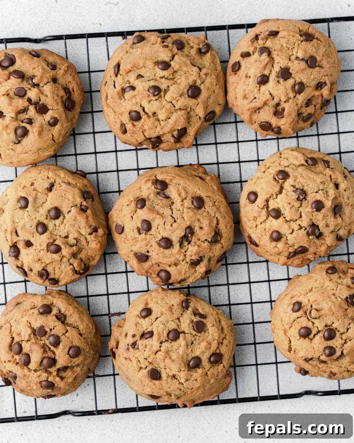 Liquid Gold Chocolate Chip Cookies 11 Chocolate chip cookies on a wire rack.