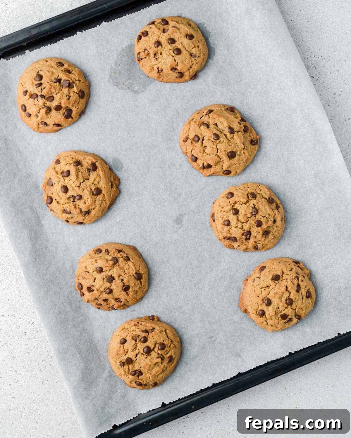 Liquid Gold Chocolate Chip Cookies 10 Baked olive oil chocolate chip cookies on a baking sheet pan.