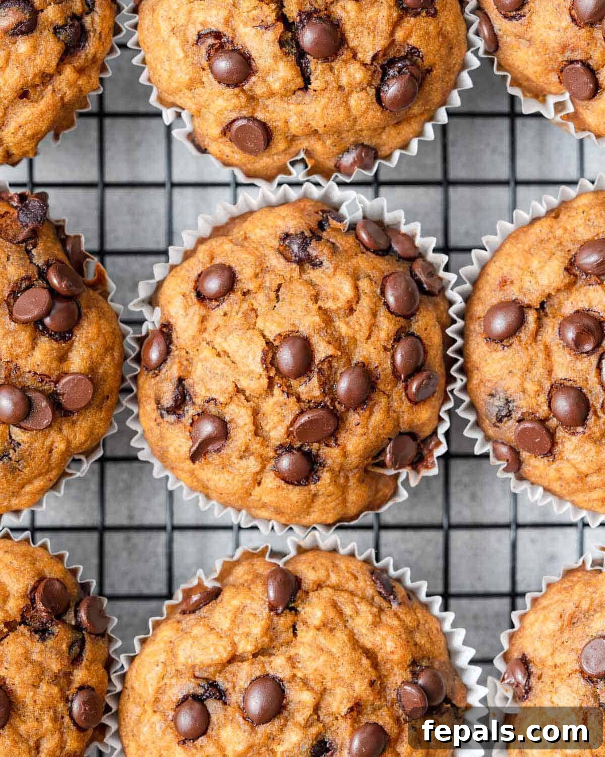 golden sweet potato muffins with chocolate chips on a wire cooling rack