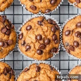 sweet potato muffins with chocolate chips on a wire wrack.