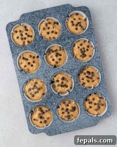 muffin batter in a muffin pan before baking.