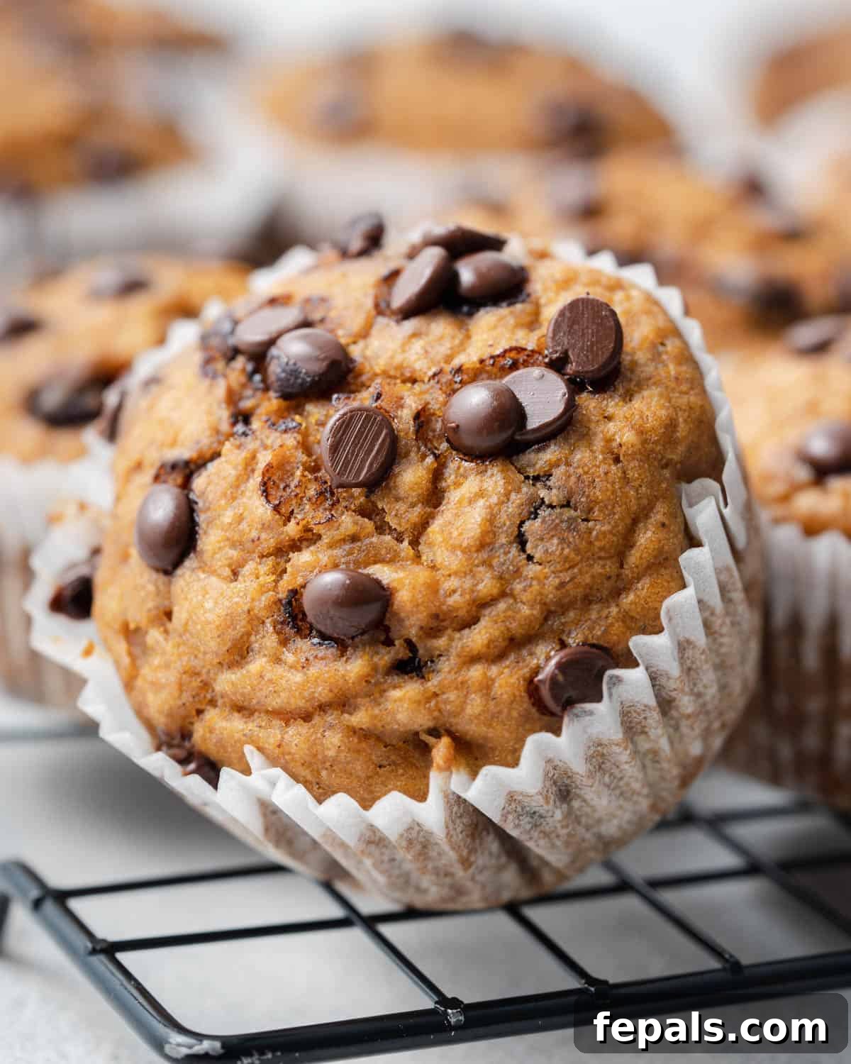 a single sweet potato muffin tilted on a cooling rack, showcasing its moist interior