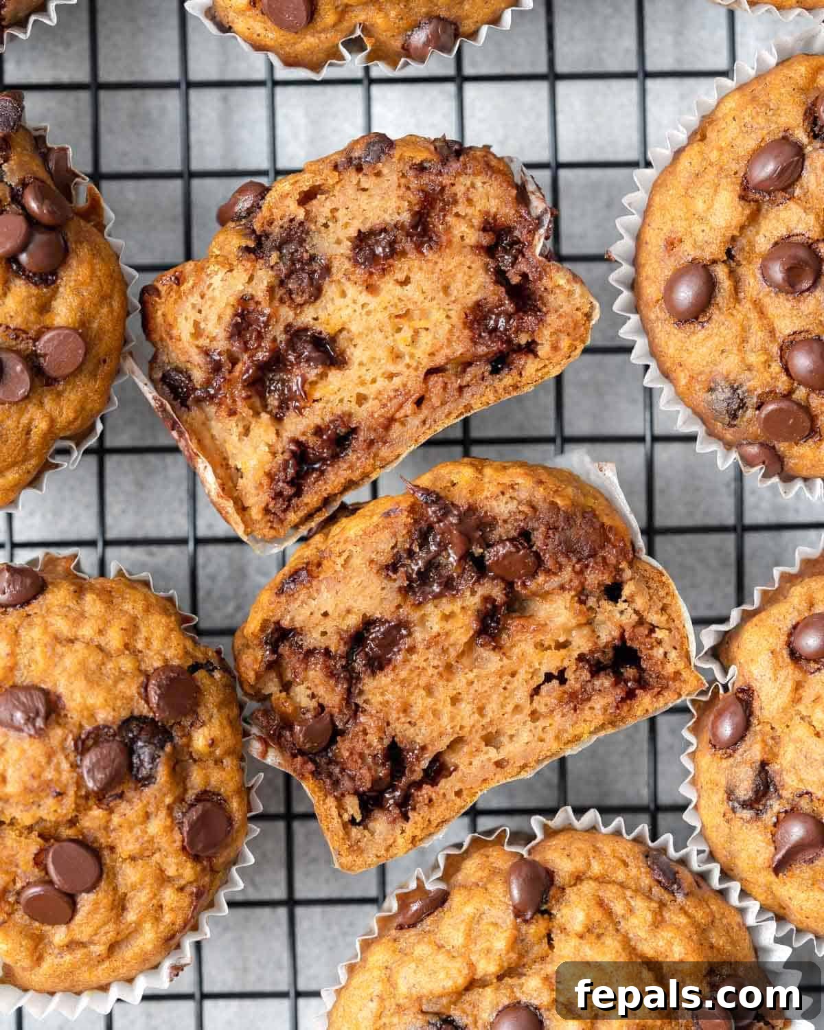a sweet potato muffin sliced in half, showing its tender interior and chocolate chips
