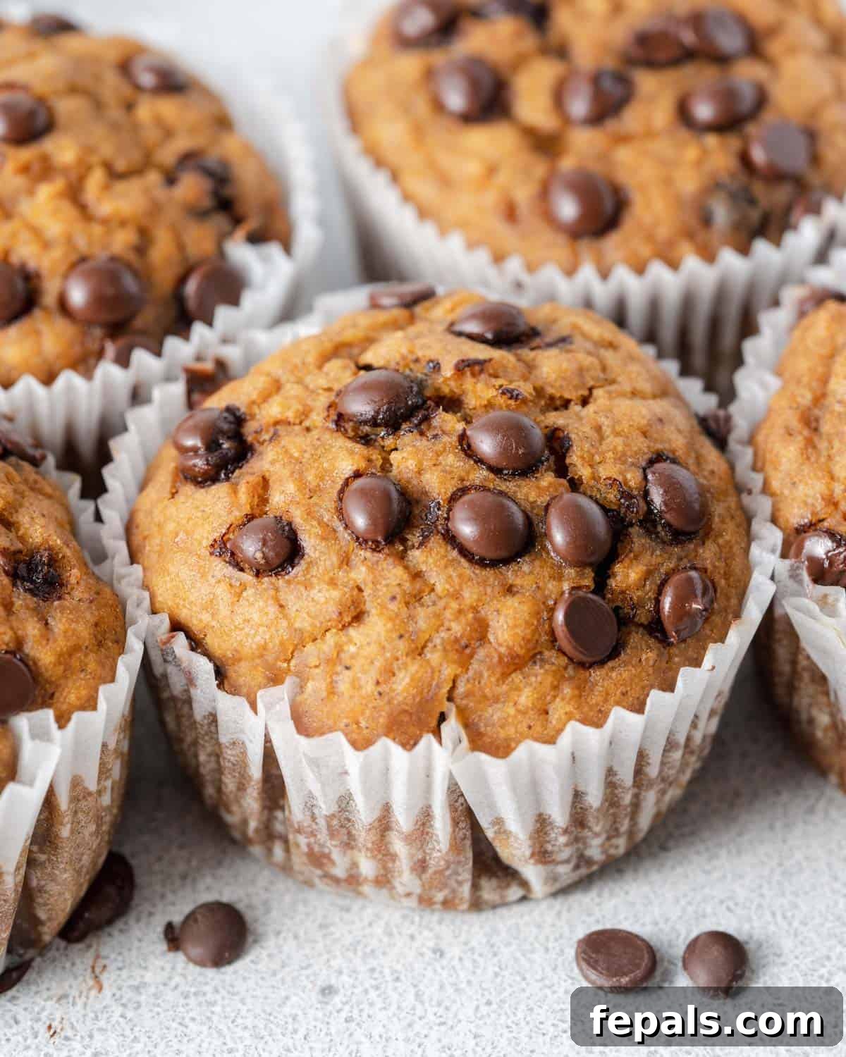 a pile of sweet potato muffins topped with chocolate chips