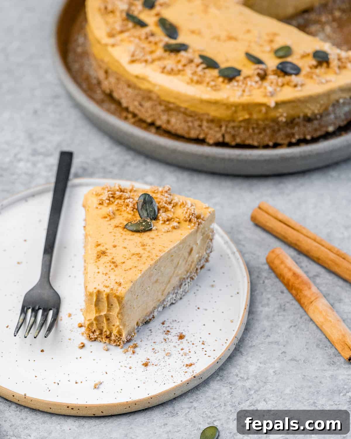 No bake pumpkin cheesecake garnished with cookie crumbs and pumpkin seeds.