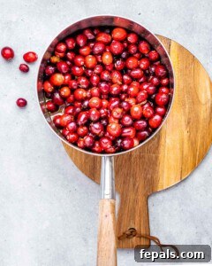 Cranberries in a saucepan with orange juice and maple syrup.