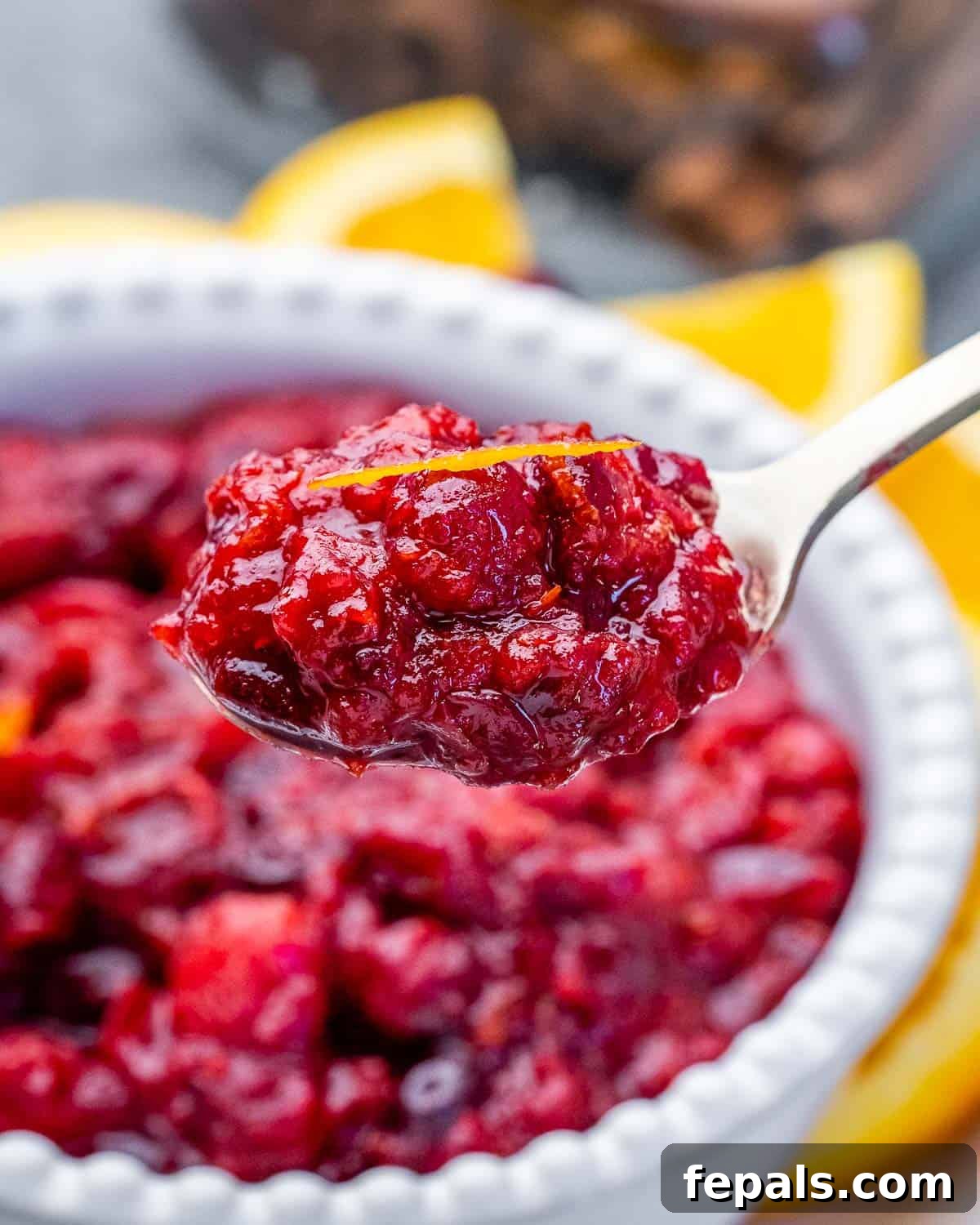 Vibrant Cranberry Orange Relish 8 A close-up of a spoon lifting a generous portion of homemade cranberry orange sauce, highlighting its vibrant color and chunky texture.